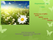 Урок по окружающему миру Почему мы не будем рвать цветы и ловить бабочек