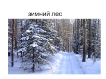 Презентация по теме Покормите птиц зимой