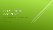 Сообщение на тему Орган чувств обоняние