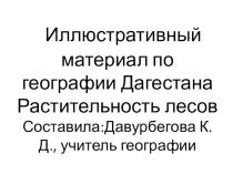 Презентация по географии Дагестана на тему: Растительность лесов Дагестана