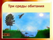 Презентация: Среда обитания организмов 5 класс