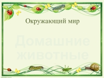 Презентация по окружающему миру Домашние животные