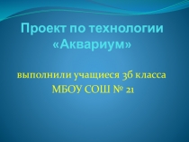 Фотогалерея проектов по технологии Аквариум, 3 кл, по программе Роговцевой