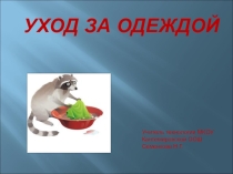 Презентация к уроку технологии в 6 классе по теме: Уход за одеждой и обувью