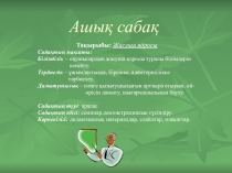 Семинар сабак жасуша ядросы