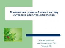 Презентация по биологии. Строение растительной клетки. 6 класс.