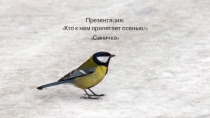 Презентация по окружающему миру Кто к нам прилетает осенью? Синичка
