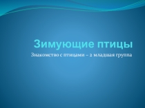 Зимующие птицы 2 младшая группа