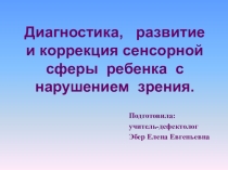 Диагностика, развитие и коррекция сенсорной сферы ребенка с нарушением зрения