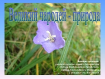 Великий чародей - природа