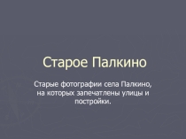 Презентация Моё родное Палкино