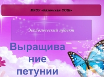 Презентация проектной деятельности Выращивание петунии
