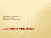 Домашние животные