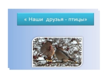 Внеклассное мероприятие, презентация Птицы наши друзья