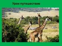 Презентация урока-путешествия Африка в 5 классе имеет цель ознакомить учащихся в интересной познавательной игре с материком Африка. Разработка урока опирается на системно-деятельностный подход, являющийся обязательной частью ФГОС.