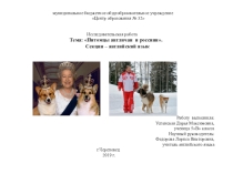 Презентация к исследовательской работе Питомцы англичан и россиян