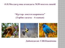 Құстар - көктем жаршысы тәрбие сағаты
