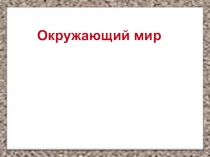 Презентация Земля - кормилица