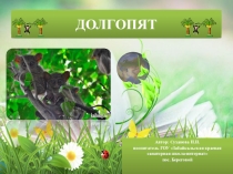 Презентация к занятию во внеурочное время по экологическому воспитанию: Долгопят.