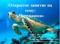 План-конспект практического занятия на тему Черепашка