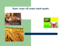 Урок - игра Я знаю свой край