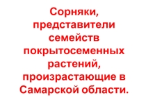 Презентация по биологииСорняки, представители семейств покрытосеменных растений, произрастающие в Самарской области(6 класс)