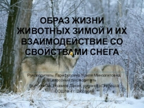 Образ жизни животных зимой и их взаимодействие со свойствами снега