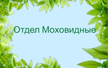 Презентация по биологии  Отдел моховидные