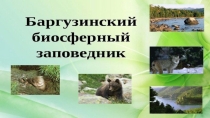 Презентация по географии на тему: Баргузинский заповедник