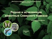 Презентация проекта по биологии на тему Редкие и исчезающие животные Северного Кавказа