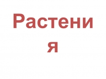 Презентация по биологии на тему Растения. Ткани. Вегетативные органы растений