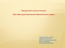 Презентация к уроку русского языка на тему: Имя существительное. Именительный падеж. (3 класс)
