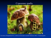 Презентация В царстве грибов 3 класс Плешаков А.А.