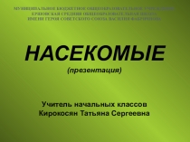 Презентация по окружающему миру на тему Насекомые