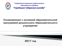 Презентация по МДК 05.01 Теоретические и прикладные аспекты методической работы воспитателя дошкольного возраста на тему Основная образовательная программа ДОУ