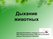 Презентация по окружающему миру на тему Дыхание животных