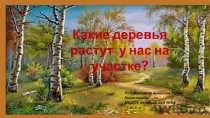 Какие деревья растут у нас на участке?