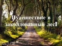 Презентация к занятию Путешествие в заколдованный лес