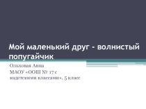 Исследовательская работа ученицы 5 класса Ольховой Анны МАОУ ООШ№17 с кадетскими классами, призера Городского конкурса исследовательских работ Первые шаги по теме:  Мой маленький друг волнистый попугайчик