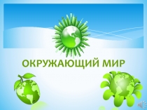 Презентация по окружающему миру