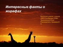 Презентация О жирафах 1 класс