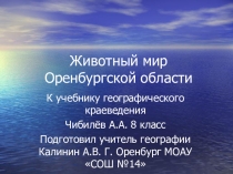 Животный мир Оренбургской области 8 класс Географическое Краеведение