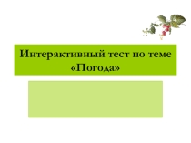 Тест по теме : Погода.