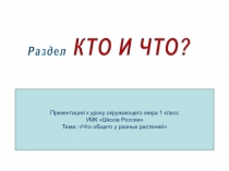 Презентация к уроку по окружающему миру Что общего у разных растений.