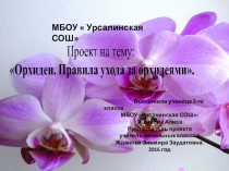Проект на тему  Орхидея. Правила ухода за орхидеями