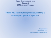 Презентация по окружающему миру Органы чувств 1 класс