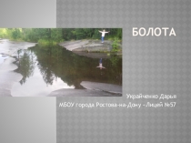 Презентация Болота по окружающему миру 3 класса