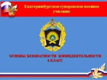 Презентация по ОБЖ Тема 6 Занятие № 4 Оказание первой медицинской помощи при укусах змей и насекомых.(6 класс)