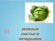 Презентация Содержание нитратов в овощах