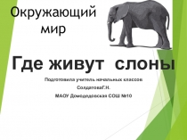 Презентация по окружающему миру на тему Где живут слоны?